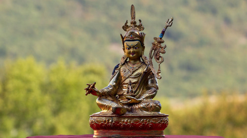 The Way of the Great Perfection - Monthly live sessions