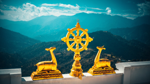 Introduction to the Four Noble Truths