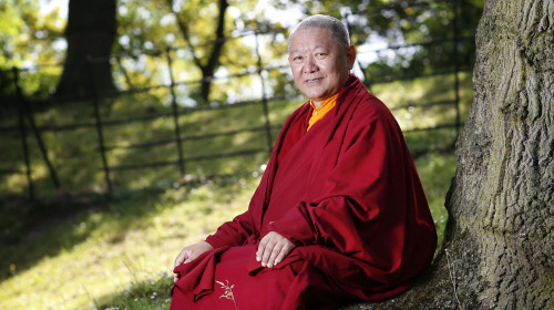 Buddha's Enlightenment