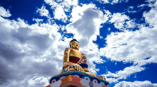 The vision of meditation