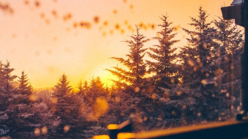 Become a better person, for yourself and for the world