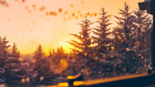 Happiness lies within