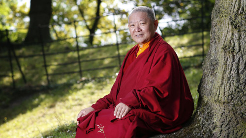 We rely on the earth to survive