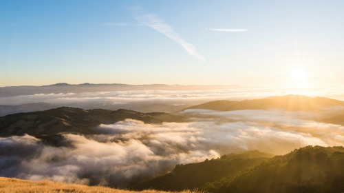 Understanding the mind to understand ourselves