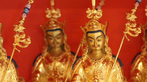 News from the Rigpa Vision Board