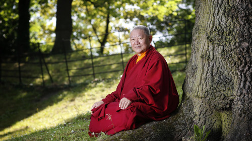 Seeing through suffering is the truth of suffering